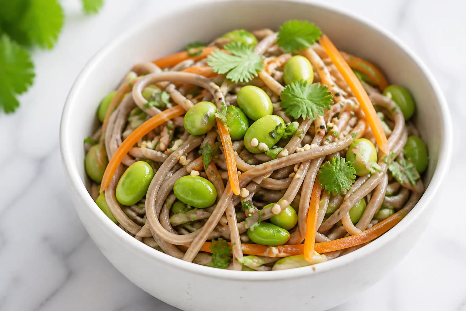 Salade soba, edamames & sésame