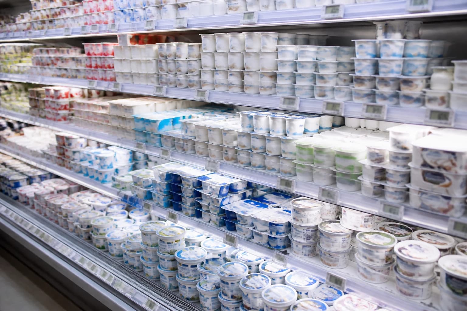 Rayon réfrigéré de yaourts et fromages blancs dans un supermarché, pots alignés et étiquettes de prix en rayon